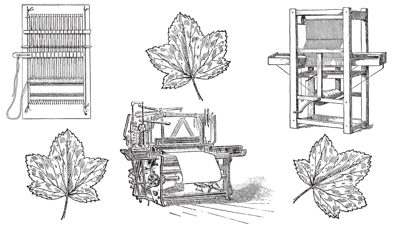 A Brief History of Fibre Arts in Canada