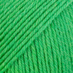118 - Parrot Green