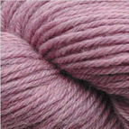 1039 - Helleborus Heather