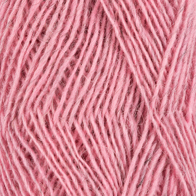 Fjallalopi ** NEW **