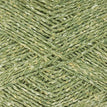 6921 - Fern