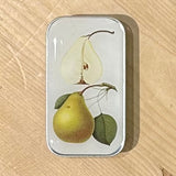 Firefly Notes Notions Tin - Small (Empty)