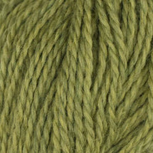 1018 - Wild Chartreuse