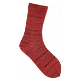 Cashmeri Luxury Sock - ON SALE Oct 30 - 31 Only! - A Twist of Yarn