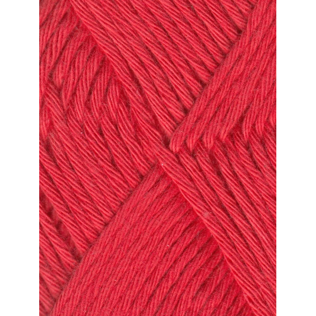 Coastal Cotton - A Twist of Yarn