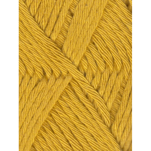 Coastal Cotton - A Twist of Yarn