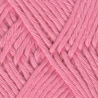 2019 - Cherry Blossom