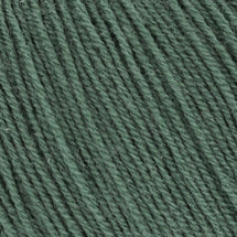 093 - Eucalyptus