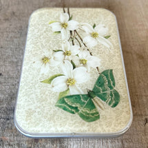 Dogwood & Green Moth