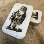 Wisdom Owl