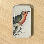 Robin