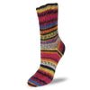 Flotte Sock 6 - Ply Relax - A Twist of Yarn