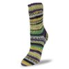 Flotte Sock 6 - Ply Relax - A Twist of Yarn