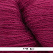 5793 - Beet **NEW**