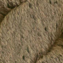 25 - Oyster Shell