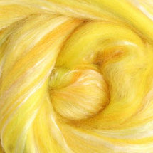 117 - Citrus