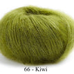 66 - Kiwi