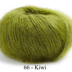 66 - Kiwi