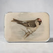 Redpoll Bird **NEW**