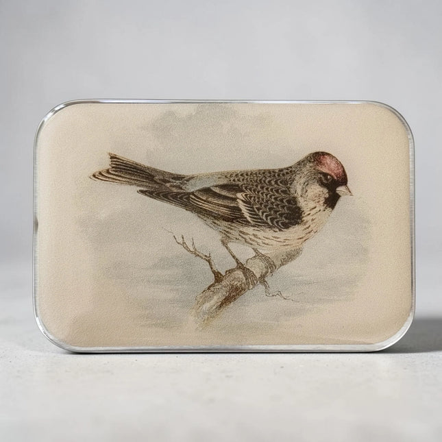 Firefly Notes Notions Tin - Large (Empty)