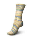 Regia 4 - Ply Funky Sock - A Twist of Yarn