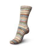 Regia 4 - Ply Funky Sock - A Twist of Yarn