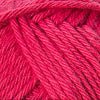 13 - Raspberry