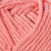 21 - Salmon