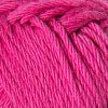 14 - Fuschia
