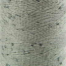 019 - Silver