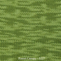 5227 - Forest Canopy