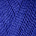 12160 - Wild Blueberry