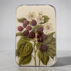 Wild Blackberry Botanical **NEW**