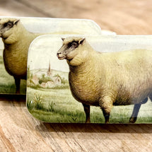 One Big Sheep