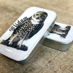 Wisdom Owl