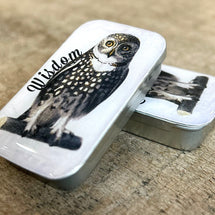 Wisdom Owl