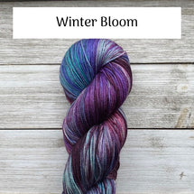 Winter's Bloom