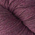 21171 - Begonia